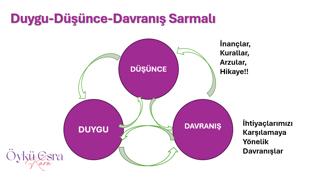Düşünce, duygu ve davranış sarmalı diyagramı